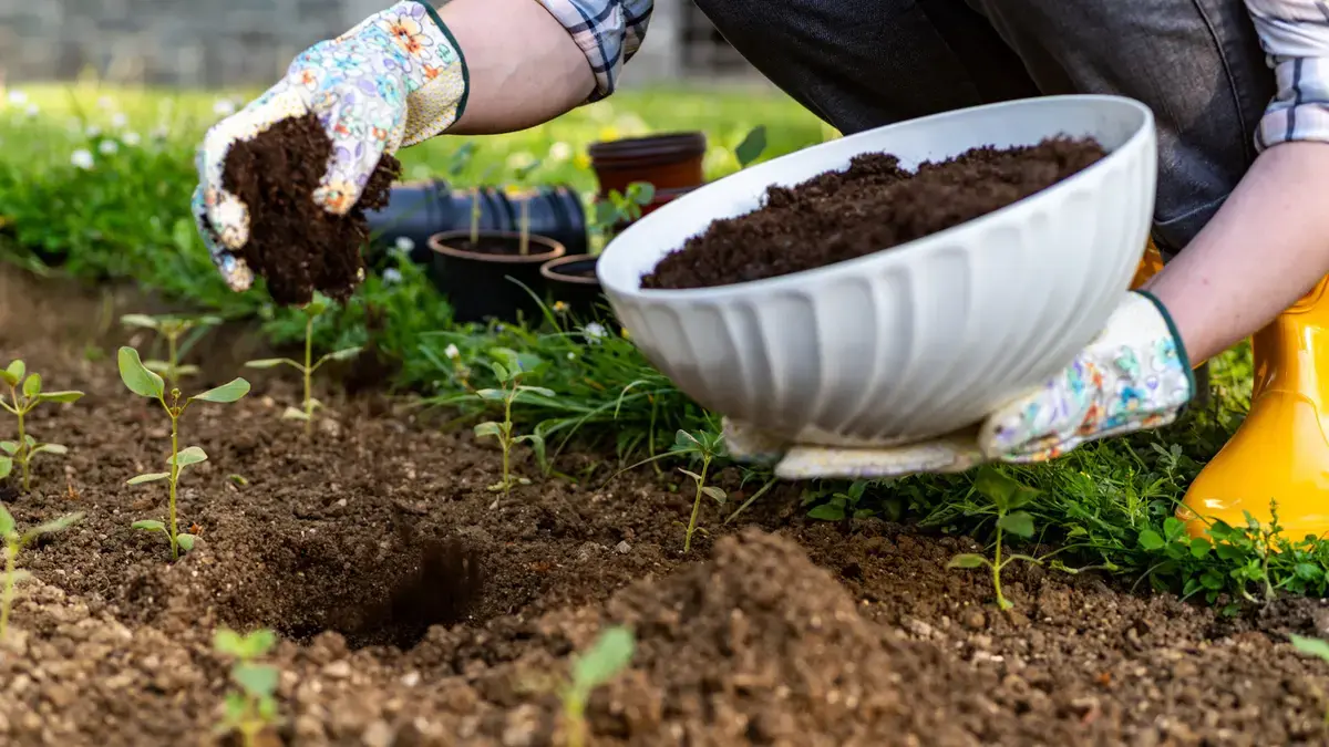 Compost mai bogat: Secretul neștiut din bucătărie