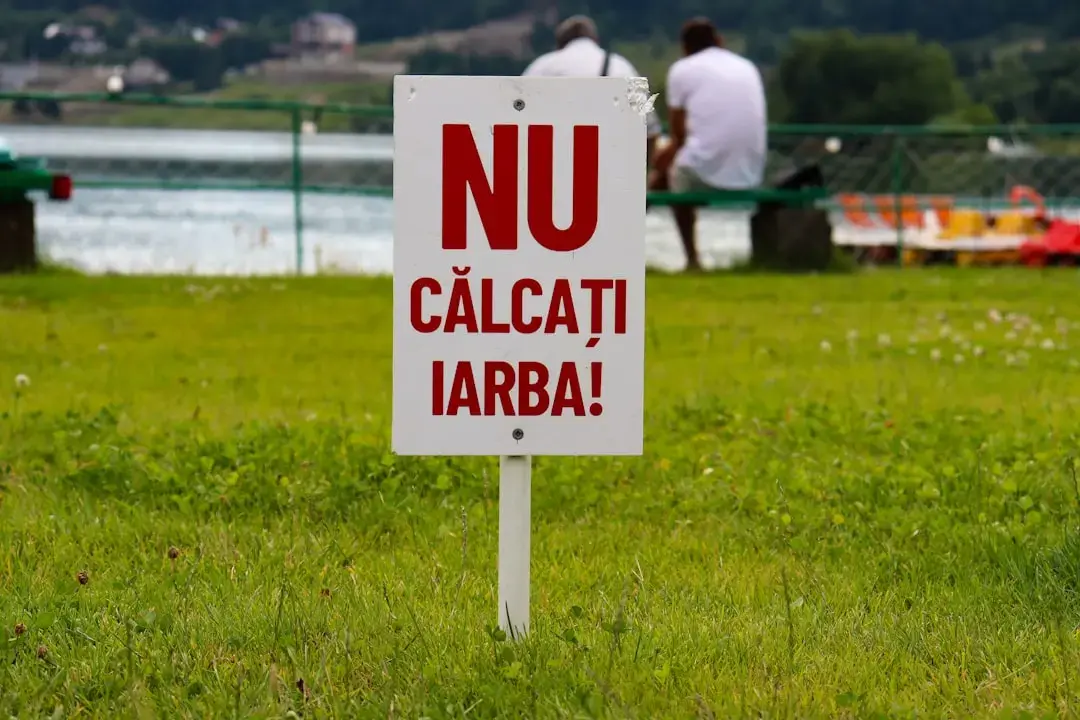 Culoarea care dă viață unei camere: Rozul îndrăzneț al lui Alex Hinand