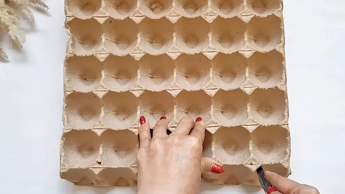 Inspirați o viață nouă în cutiile vechi de ouă.
