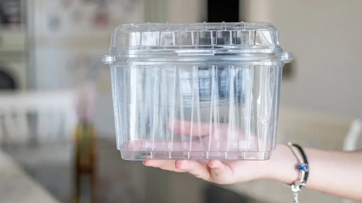 Inspirați viețile containere cu mâncare