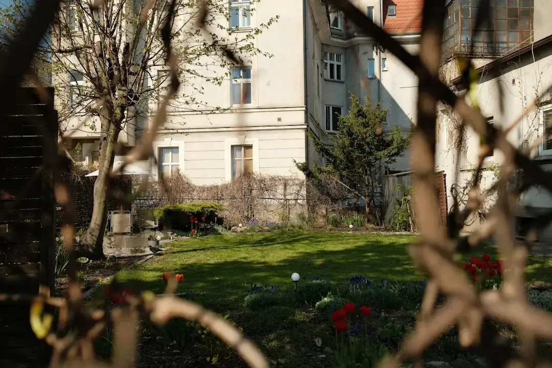 Oază de umbră: Grădina pădure a lui Yvonne Tsikata