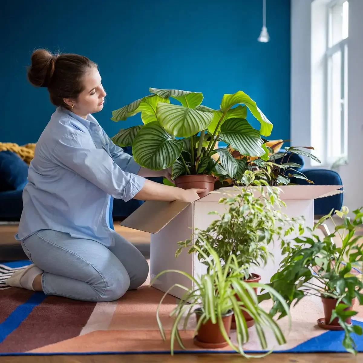 Plantele și mutarea: Ghid esențial pentru proprietari și chiriași