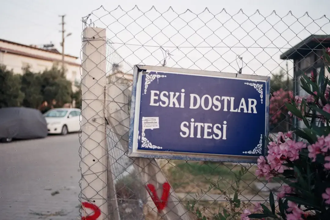 Puii din oraș în creștere: Ce trebuie să știi