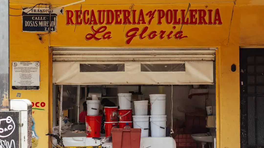 Un refugiu de polenatori în flor la o școală primară din Philadelphia