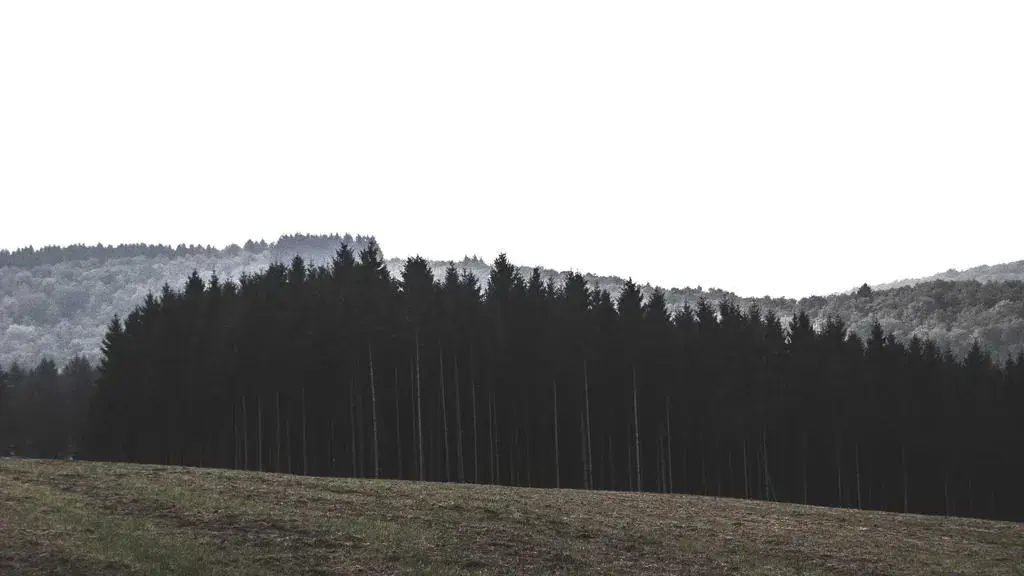 Casa de la țară reinterpretată de John Pawson: minimalism alpin în Colorado