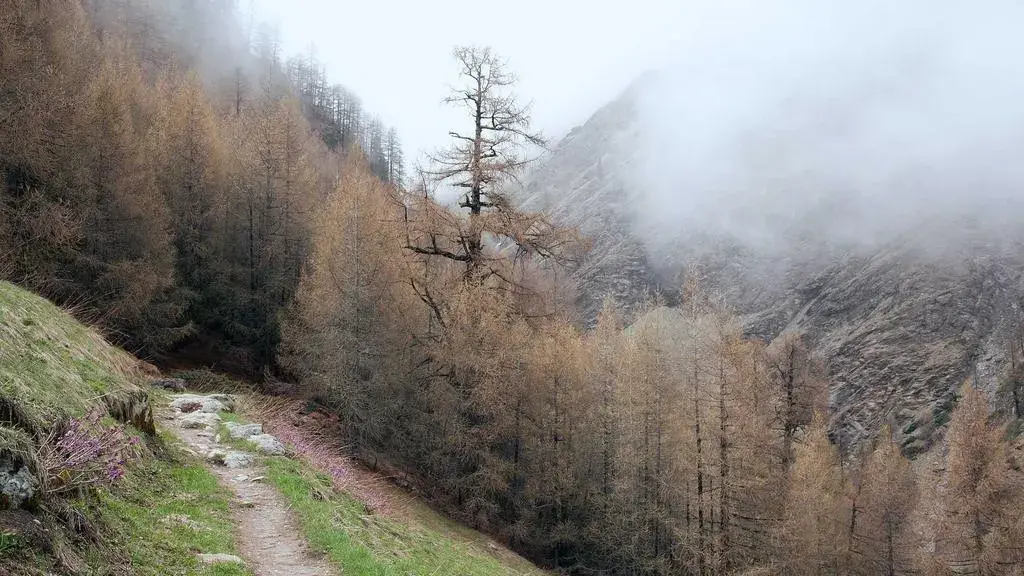 De la gri la cald: Cum transformă cremul și cuprul bucătăriile moderne