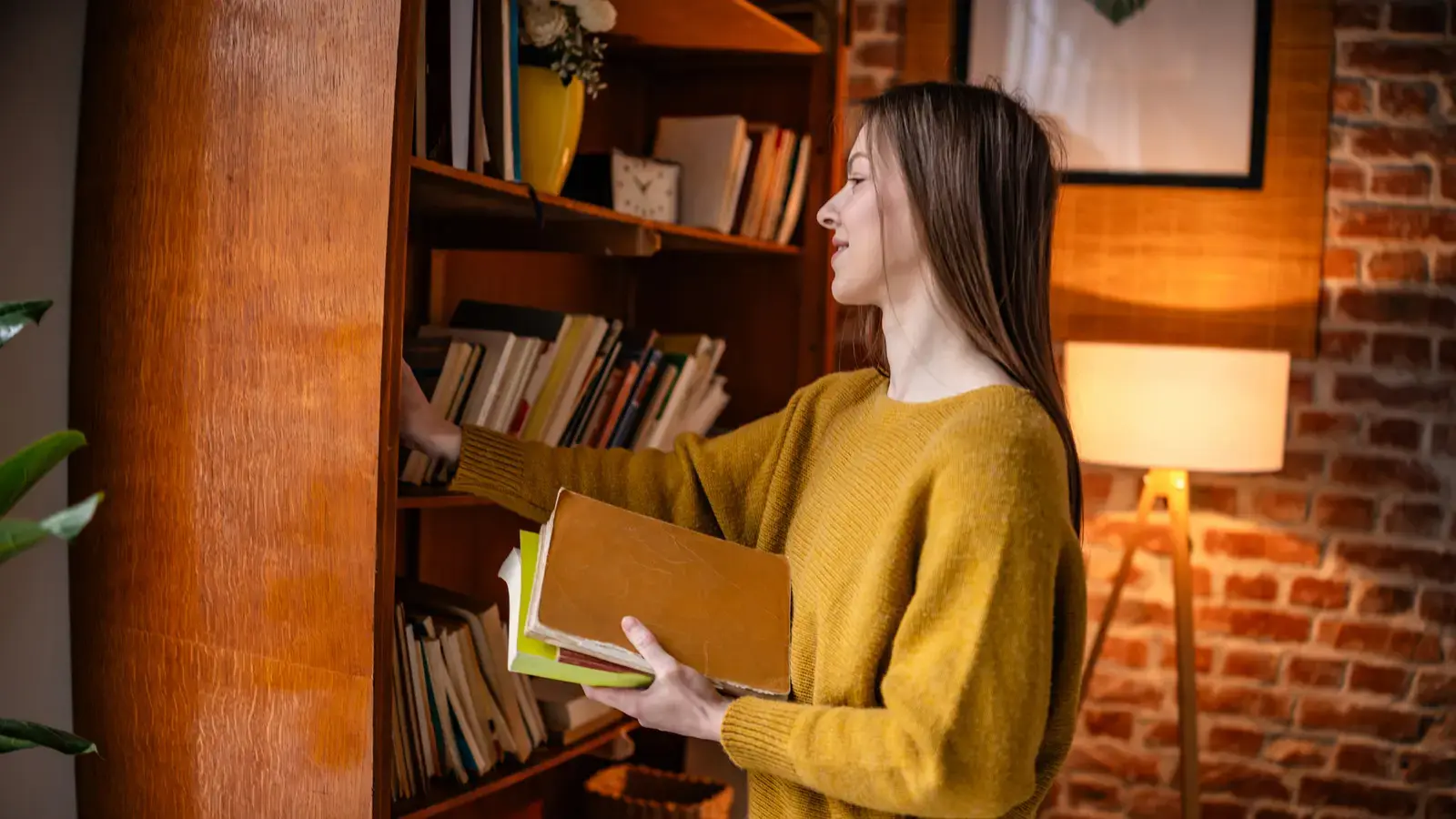 Din bibliotecă veche în depozit de grădină: ghidul DIY