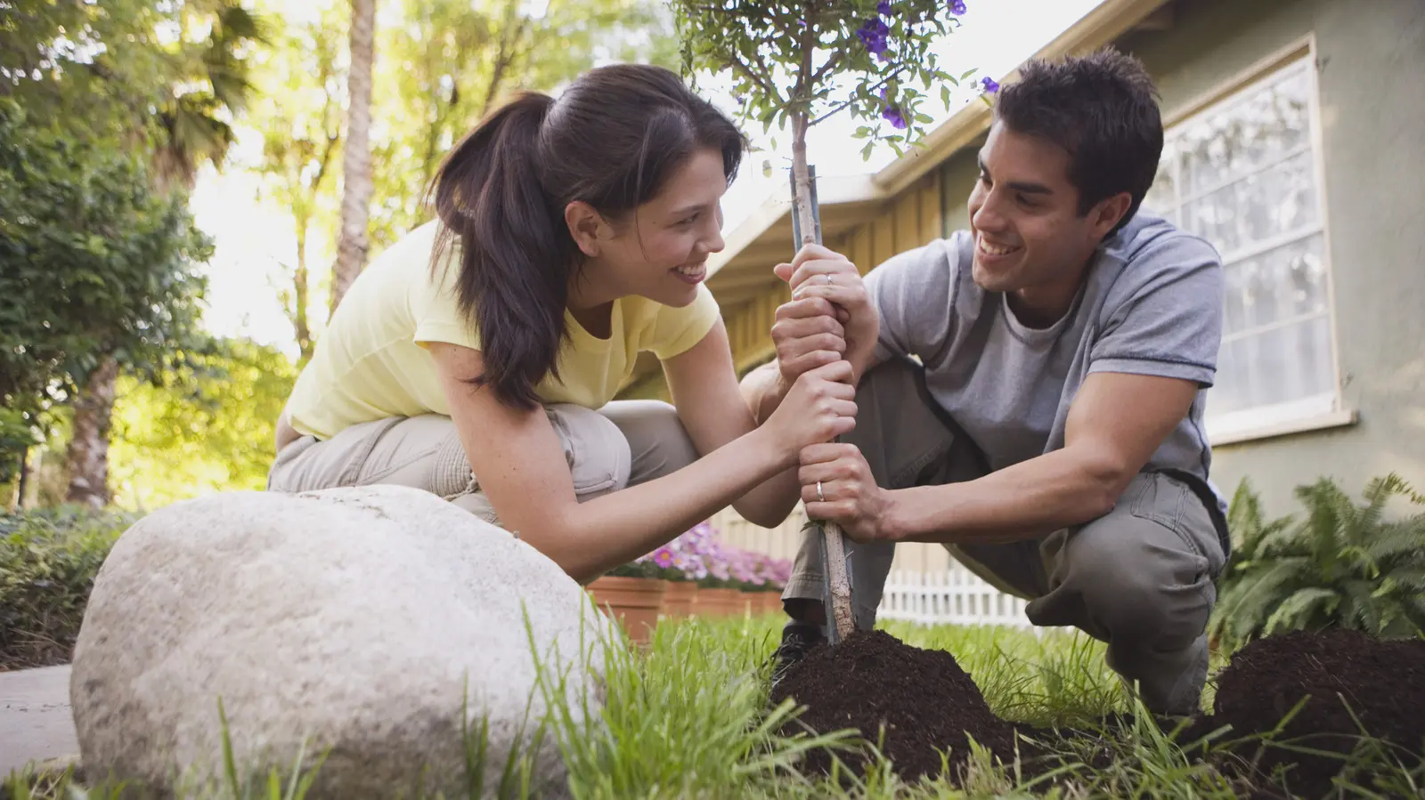 20 de flori perene de plantat în octombrie pentru o grădină primăvară plină de culoare