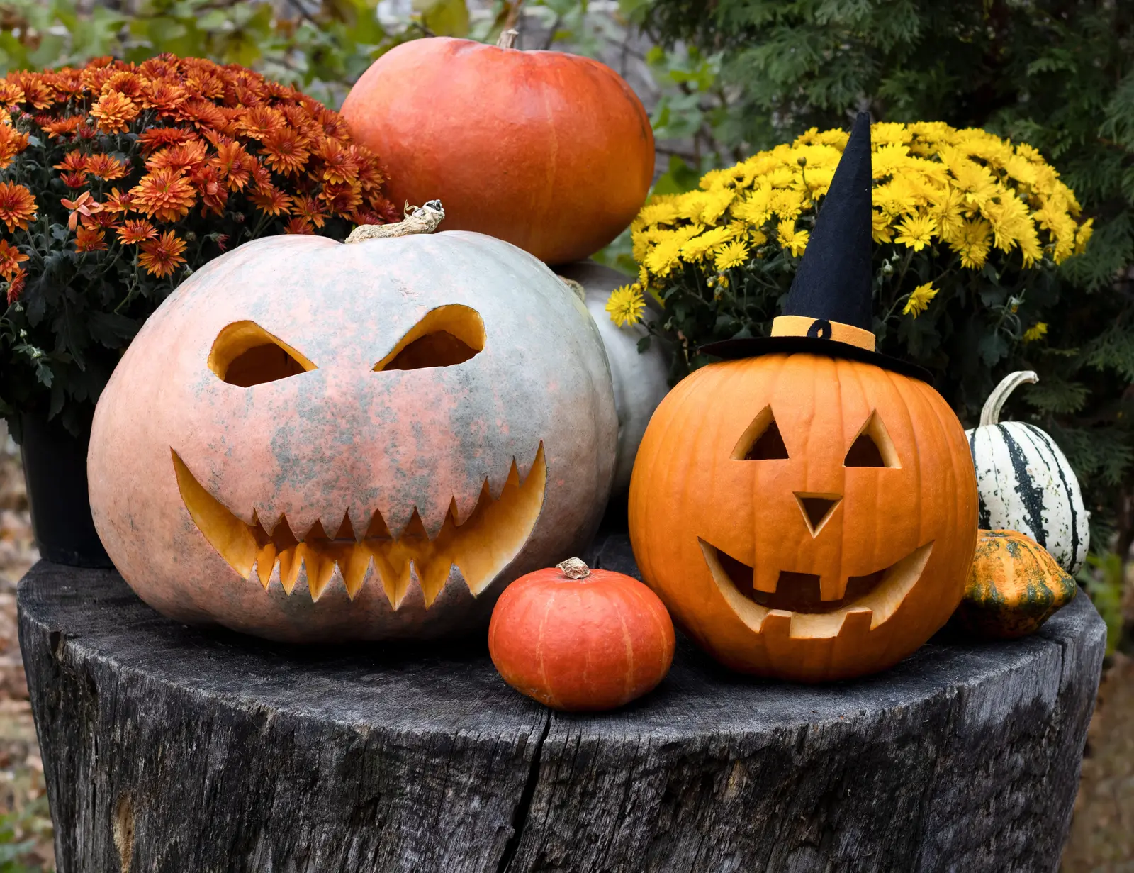 Aceste 106 idei de sculptură de dovleac îți vor face Jack-o'-Lanternul cel mai frumos din bloc