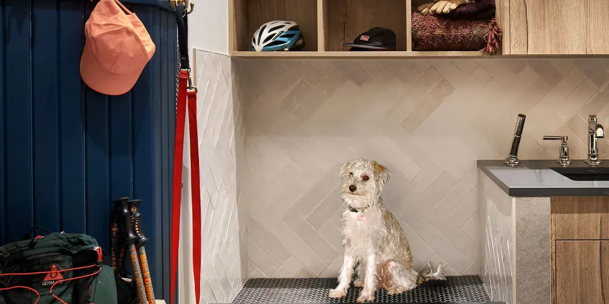 Familia prietenoasă cu animalele: secretele unui designer de interior