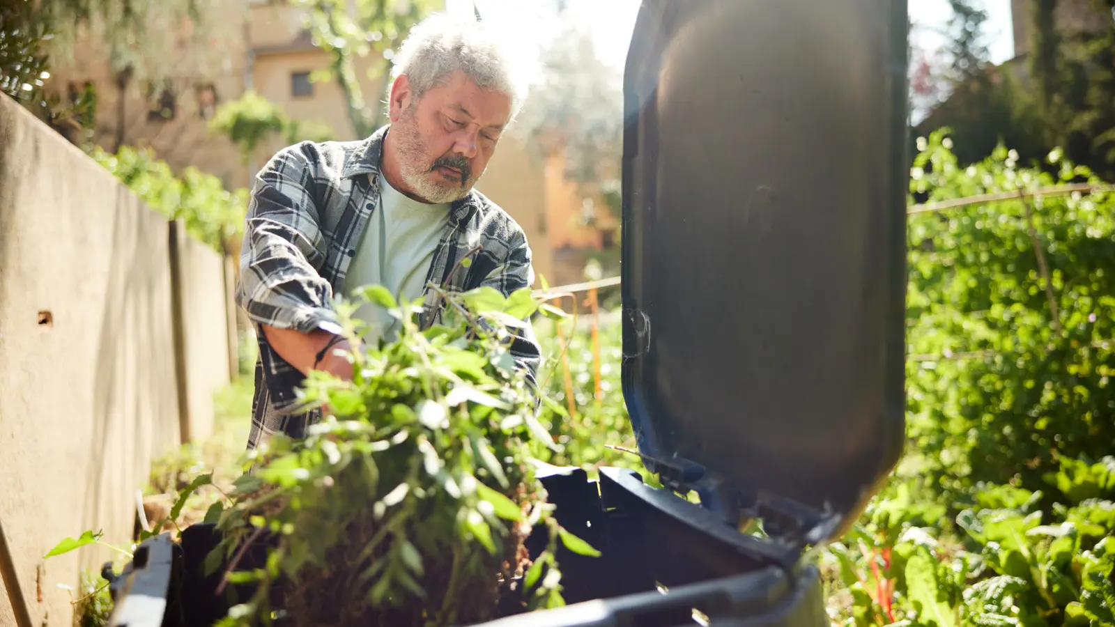 Din paleți vechi, compost proaspăt: ghidul practic pentru grădinari
