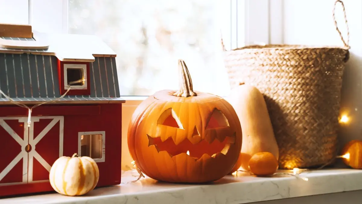 Nu-ți arunca dovleacurile după Halloween: 5 modalități de a le da o a doua viață