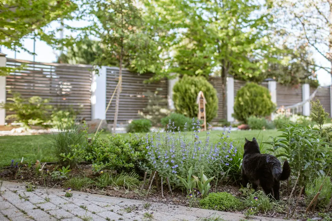 Garden Banking: Cum pregătirea de toamnă face primăvara mai frumoasă