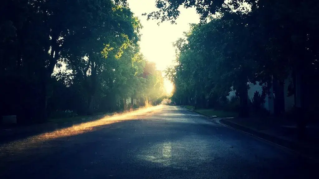 Grădina de toamnă din West Grove: spectacolul care merge singur!