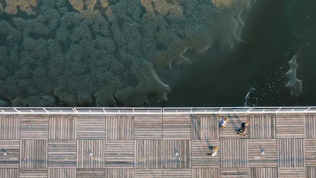 High Line: 17 ani de muncă, un parc complet