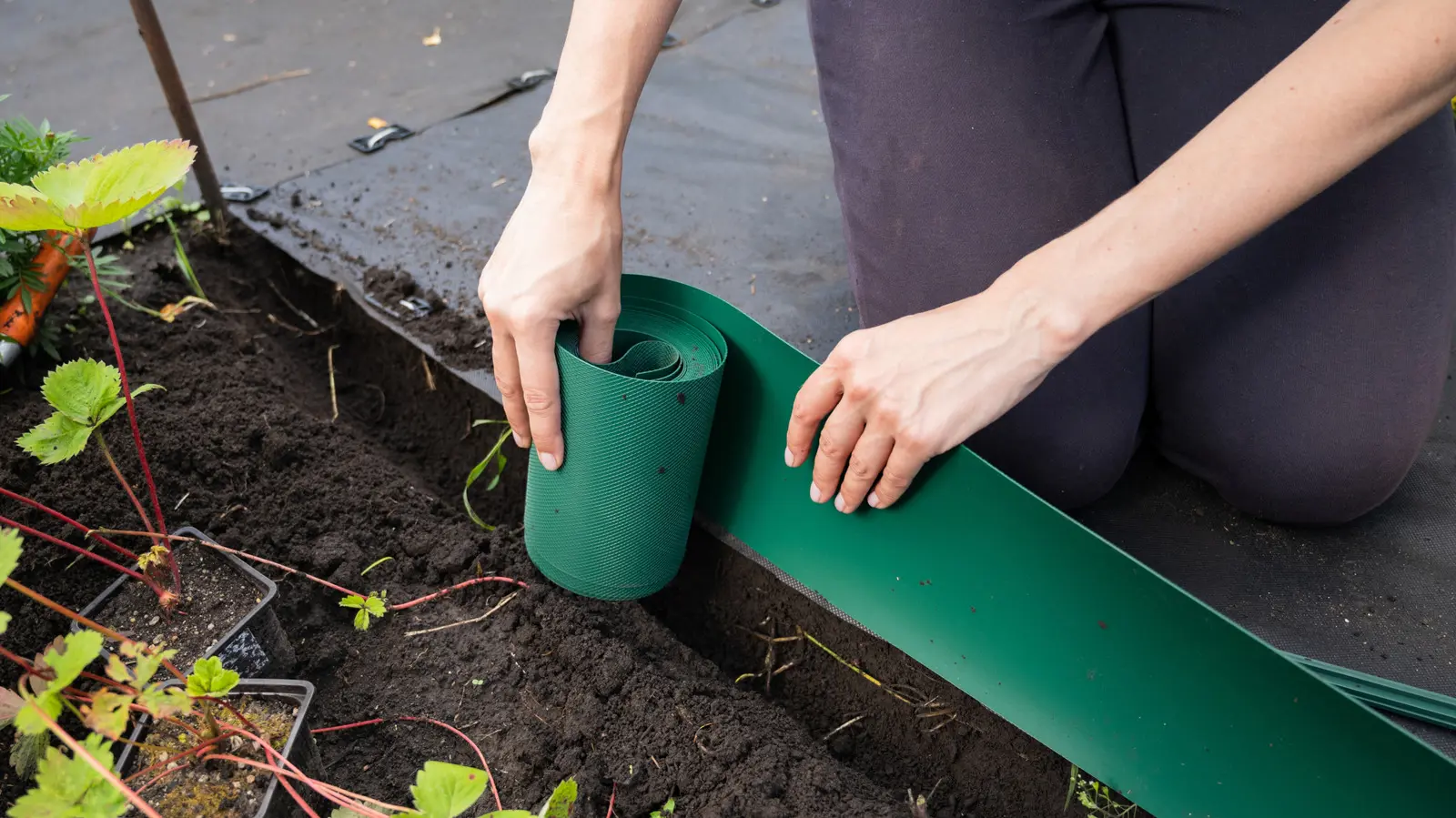 Alternativa inteligentă la bordurile din plastic pe care o caută grădinarii