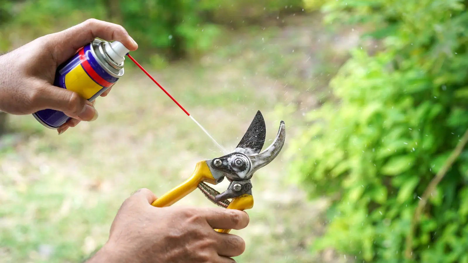 Un nou acoperire provocoă dominanța lui WD-40 în întreținerea casei