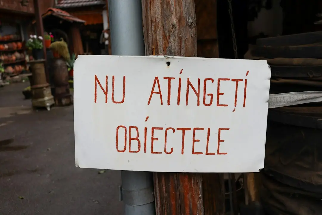 Pereții noi ai sufrageriei: alegerea unei nuanțe neutre care încântă