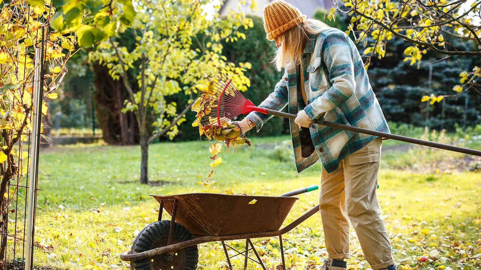 Șase materiale gratuite din grădină care îți protejează plantele de frigul iernii