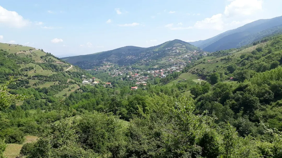 Cum arată locuințele rămase blocate în tendințele de design din 2015?