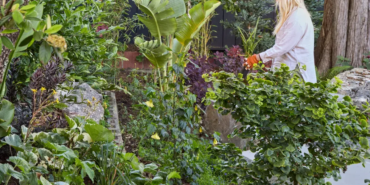 Cele mai bune 10 proiecte de peisaj de rezolvat înainte de sezonul de plantare