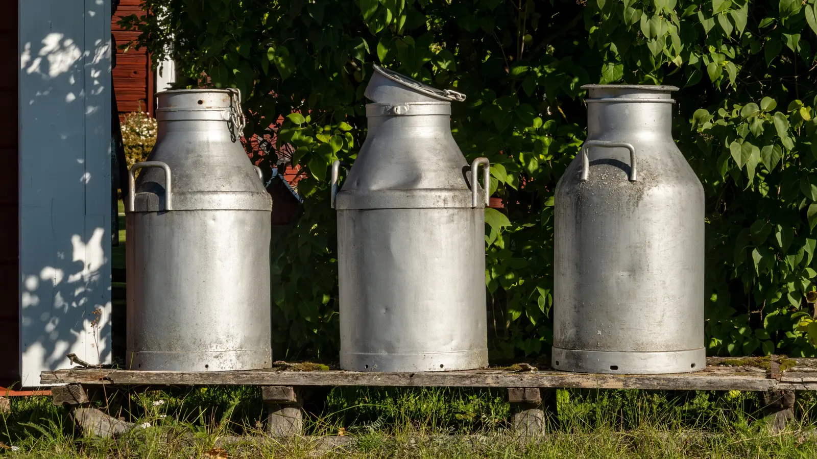 Un vas de lapte vintage devine o masă laterală cu stil rustic